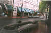 portland_7.jpg (267865 bytes)